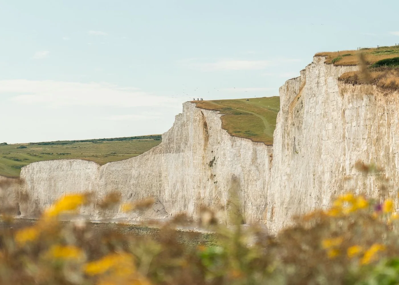 Pale chalk cliffs above the blue sea, viewed from inland.