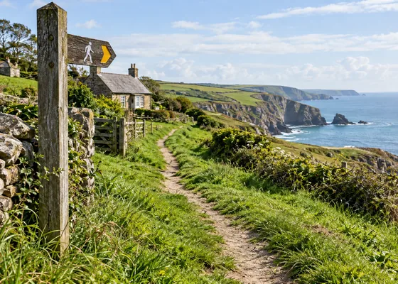 Clearly marked coastal path through green grass set back from cliffs.