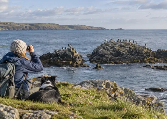 Seabirds perched on distant coastal rocks.